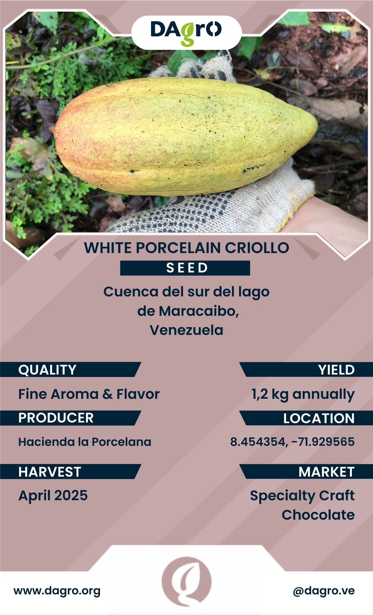 White Porcelain Seed