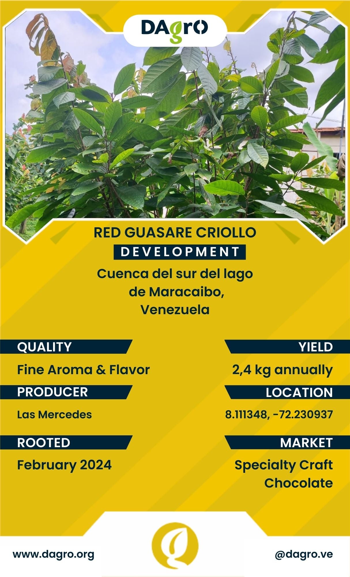 Red Guasare Development