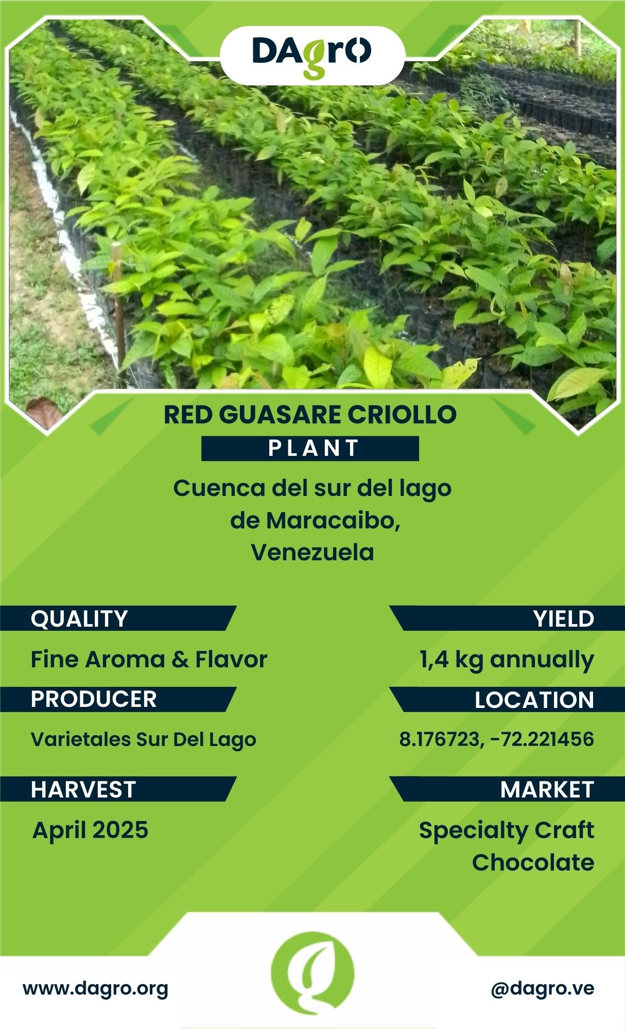 Red Guasare Plant