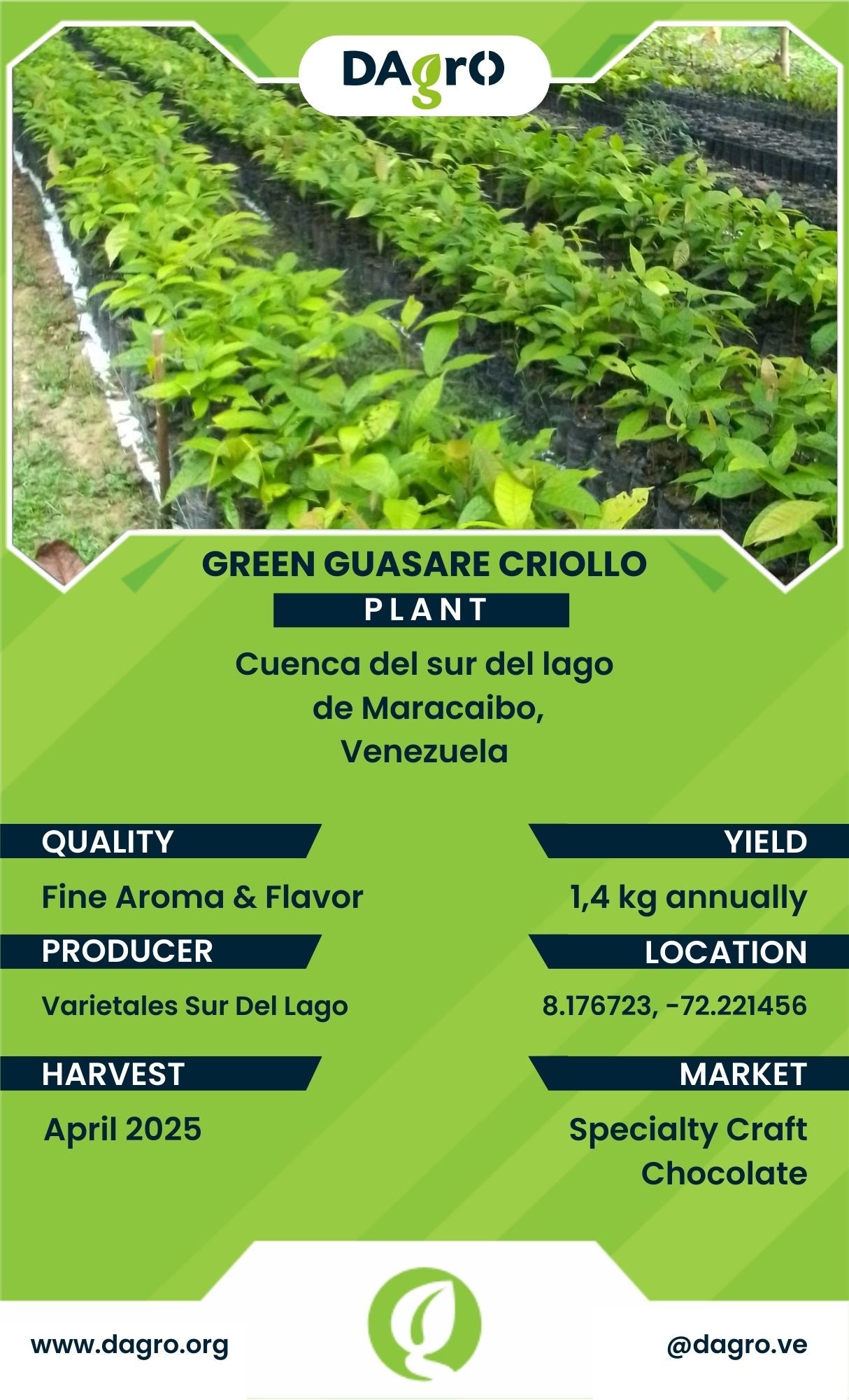 Green Guasare Plant