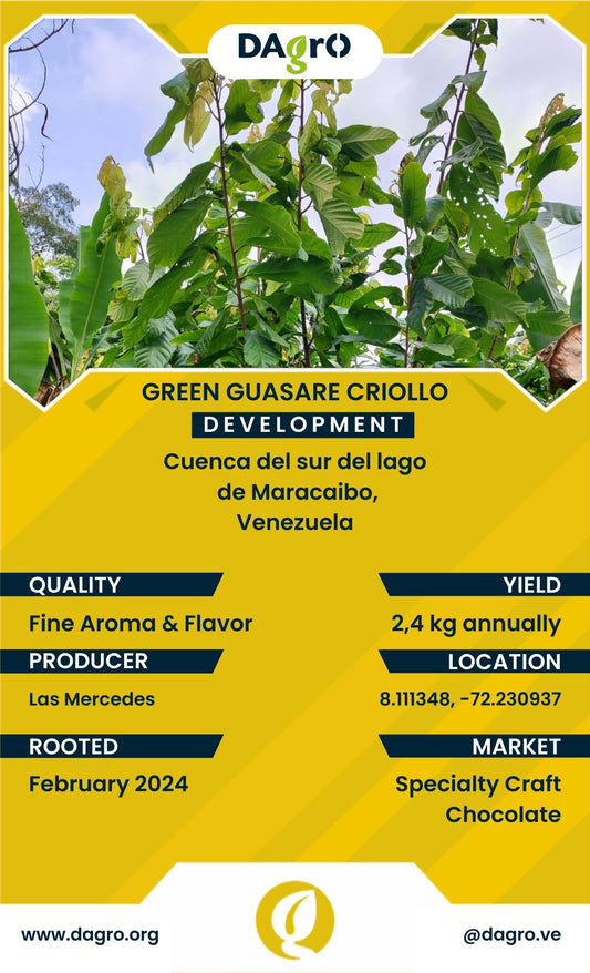 Green Guasare Development