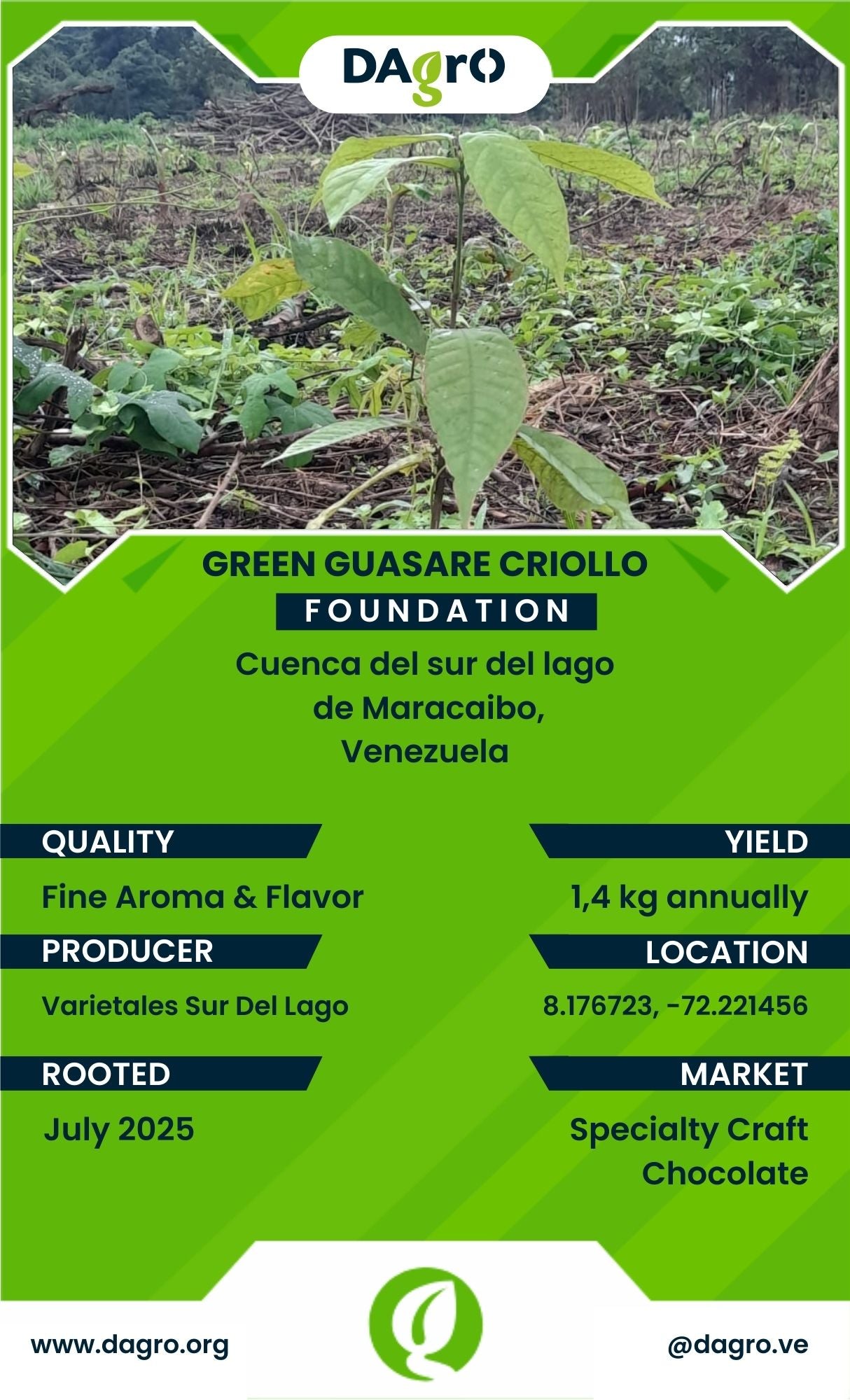 Green Guasare Foundation
