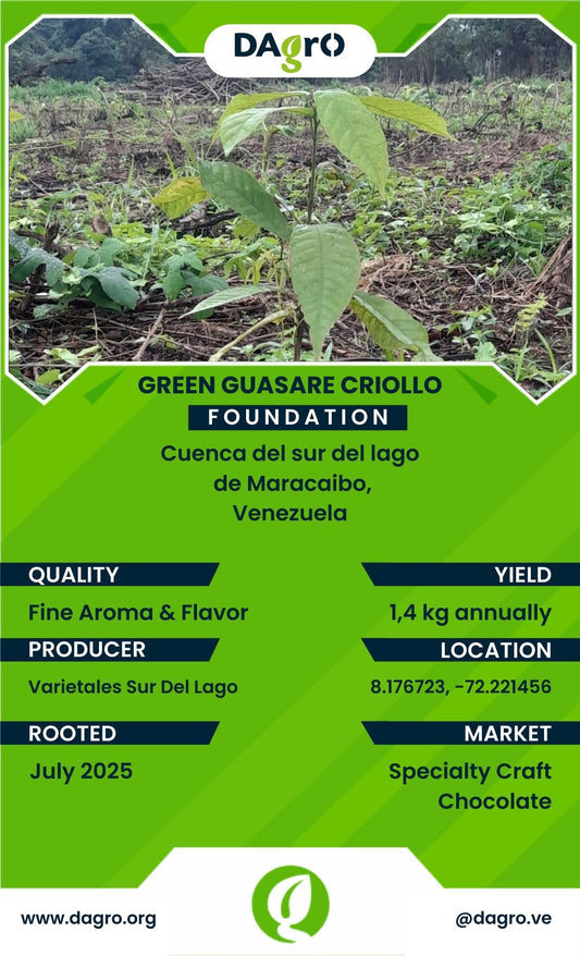 Green Guasare Foundation
