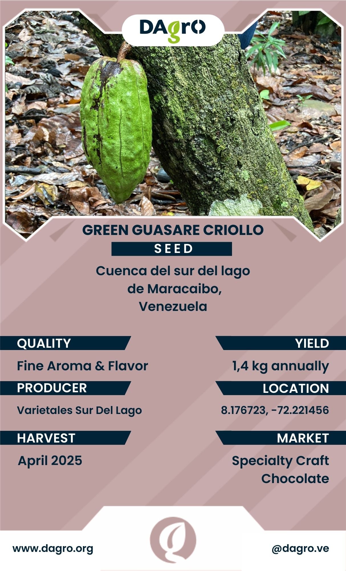 Green Guasare Seed