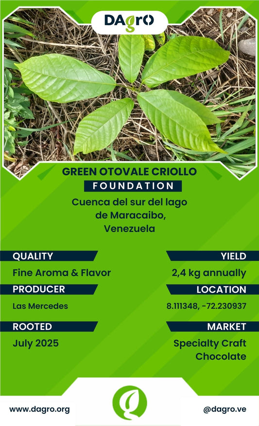 Green Otovale Foundation