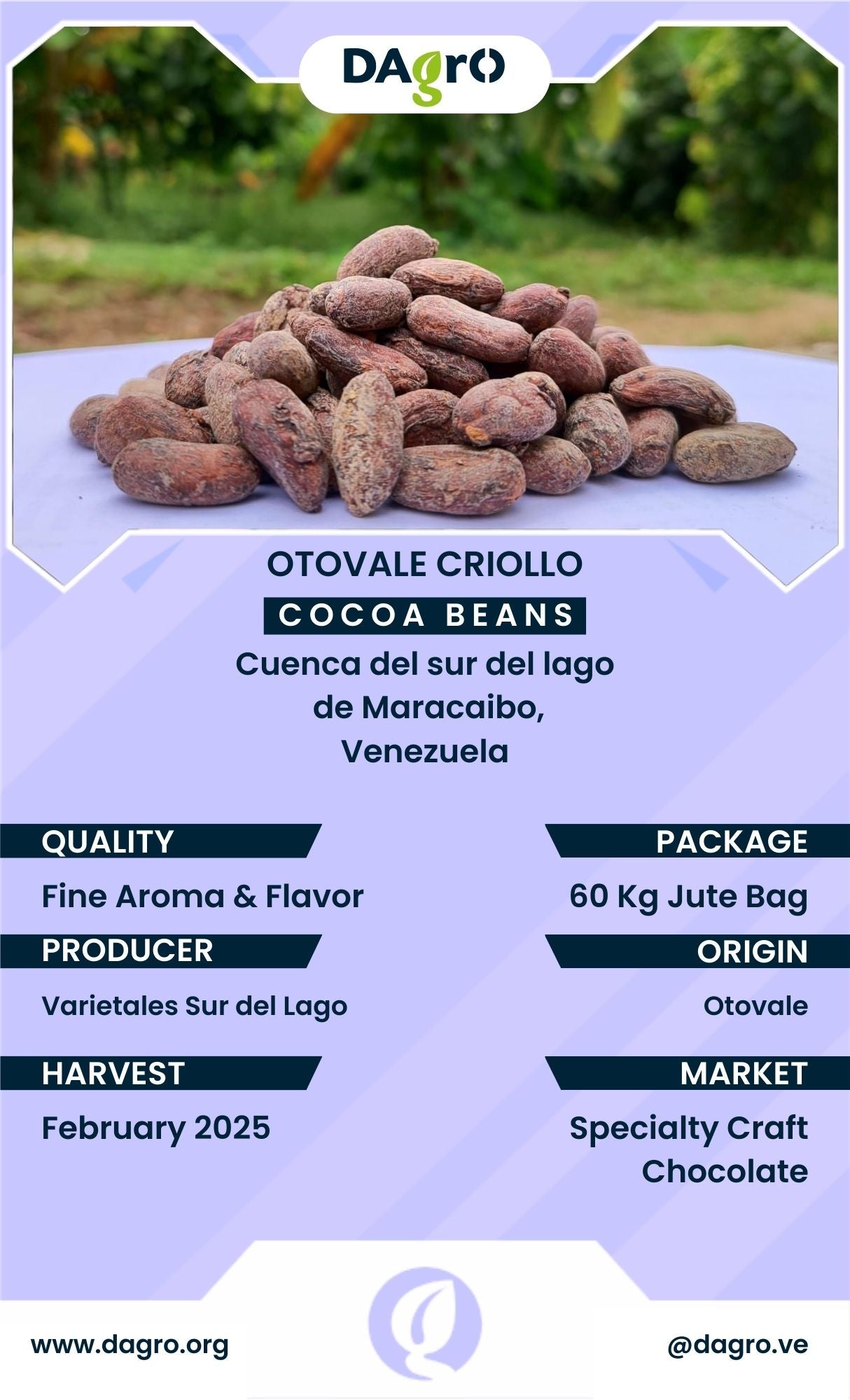 Cocoa Beans - Otovale