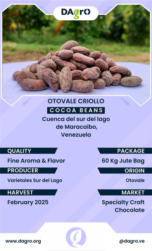 Cocoa Beans - Otovale