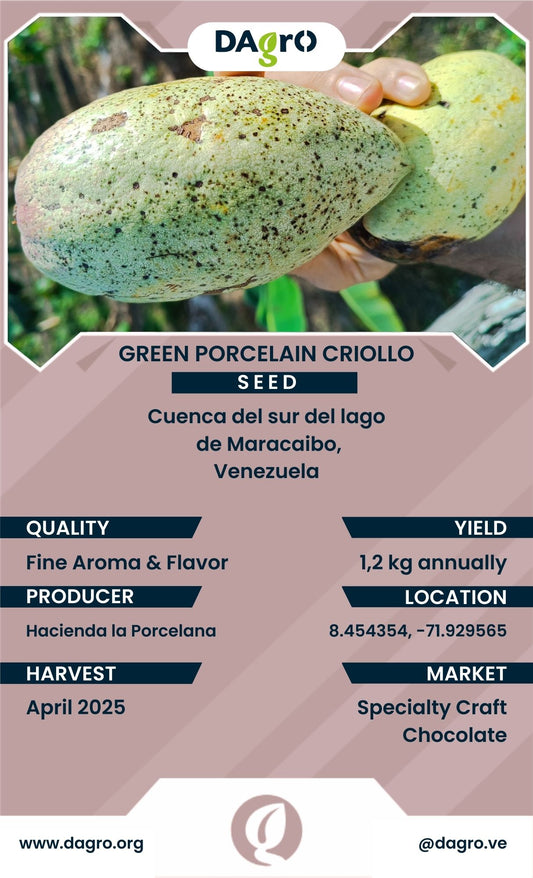 Green Porcelain Seed