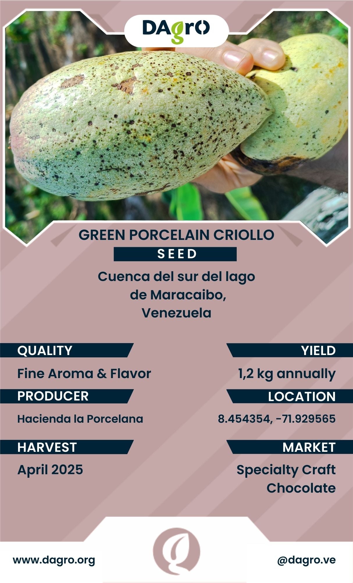 Green Porcelain Seed