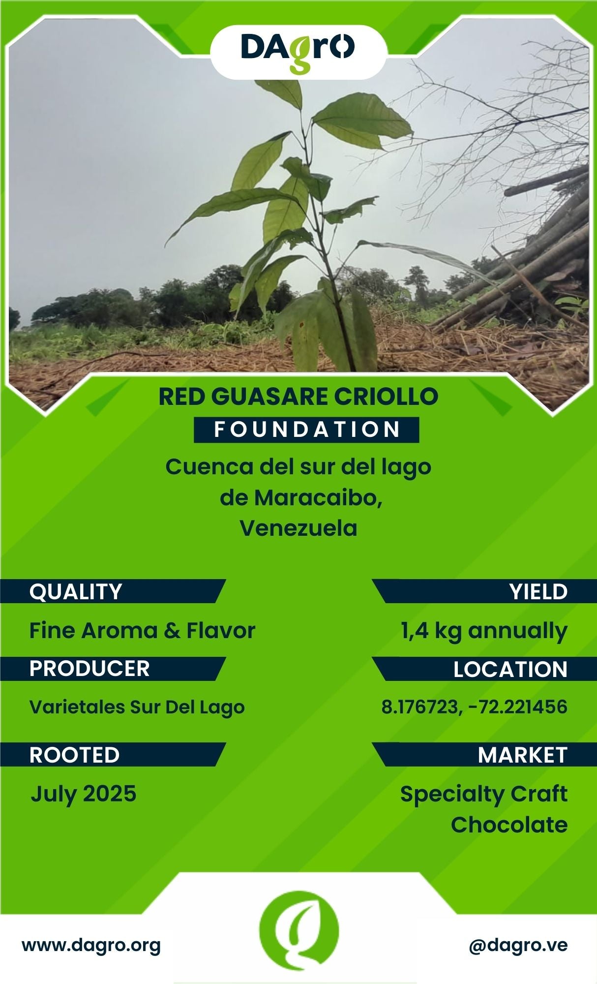 Red Guasare Foundation