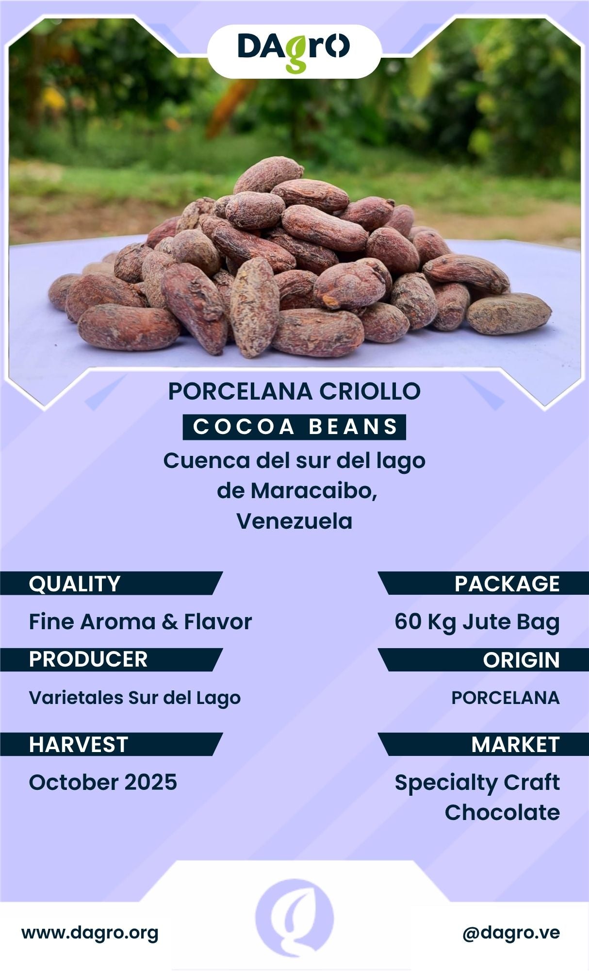 Cocoa Beans - Criollo Porcelana