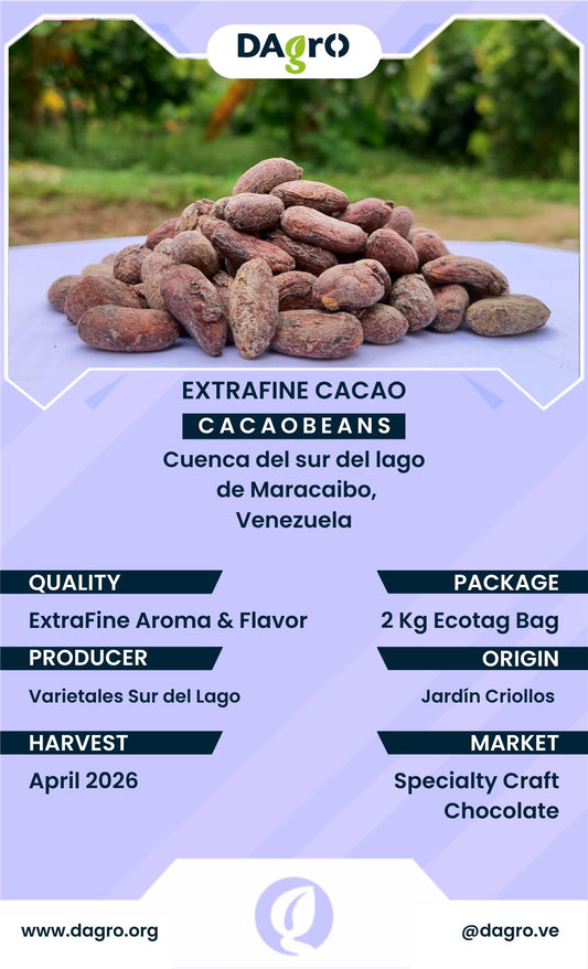 2kg Sample of Criollo Beans - Superfine