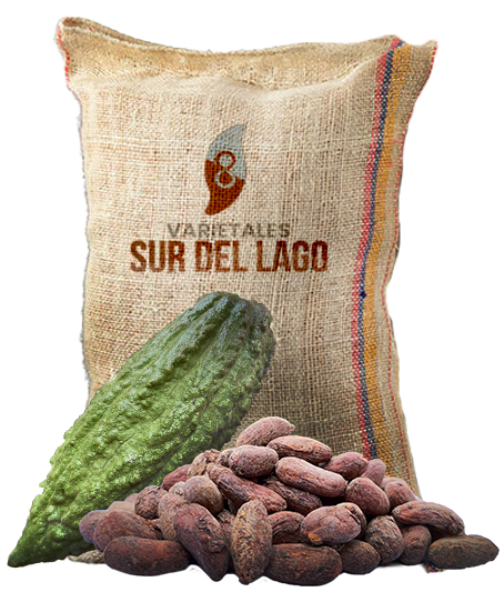 Cocoa Beans - Otovale